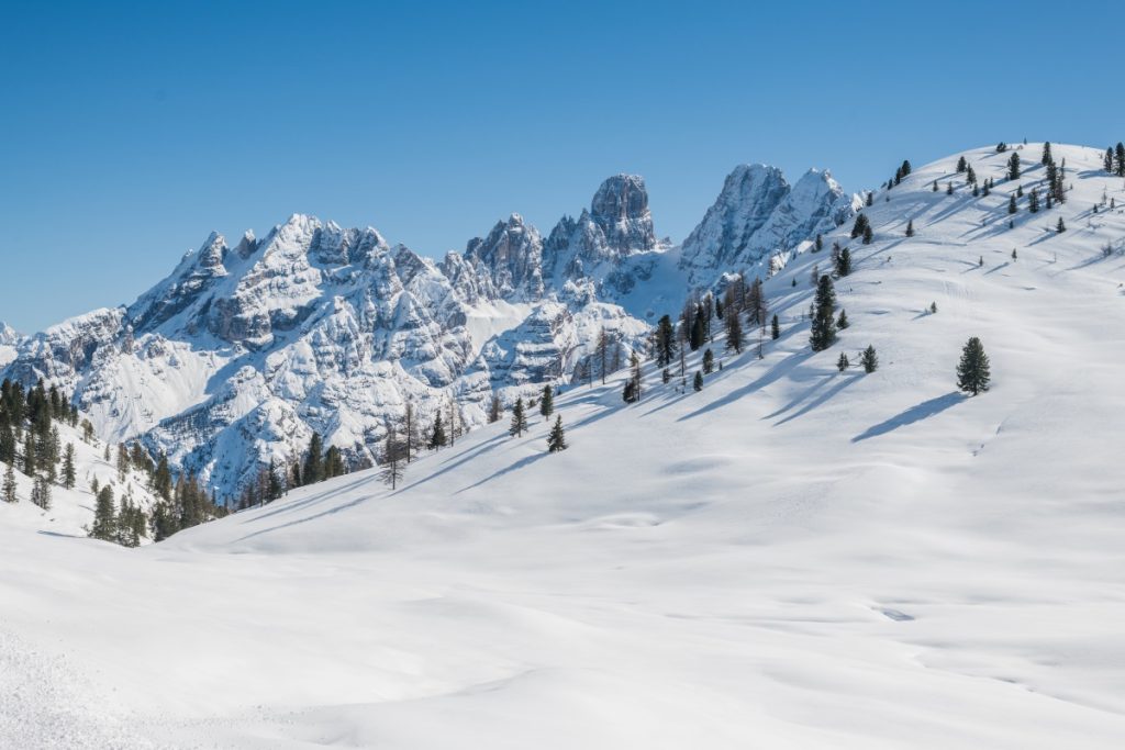 Prato Piazza. Foto IDM Südtirol-Alto AdigeHarald Wisthaler