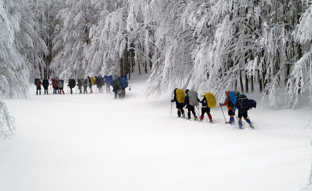 Sotto una nevicata. Foto Giordano Giacomini