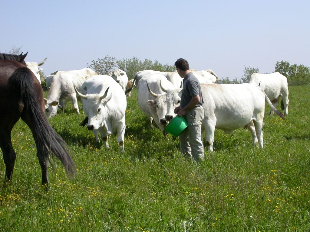 Un momento delle lezioni sul campo