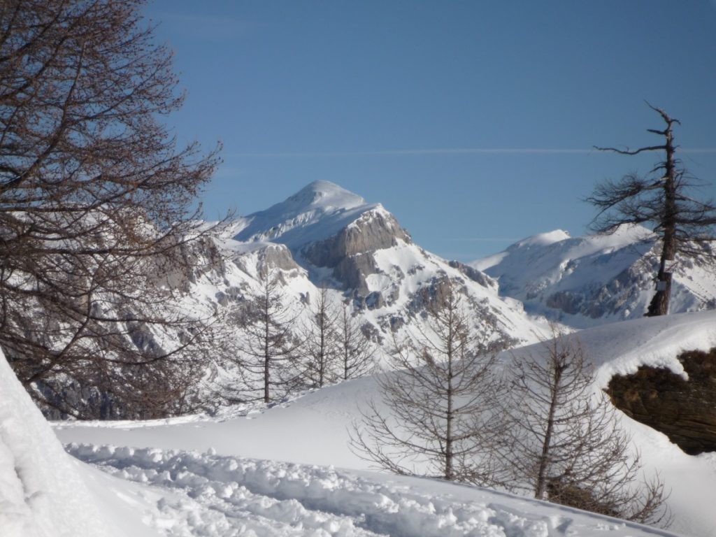 Foto Lorenzo Volpe