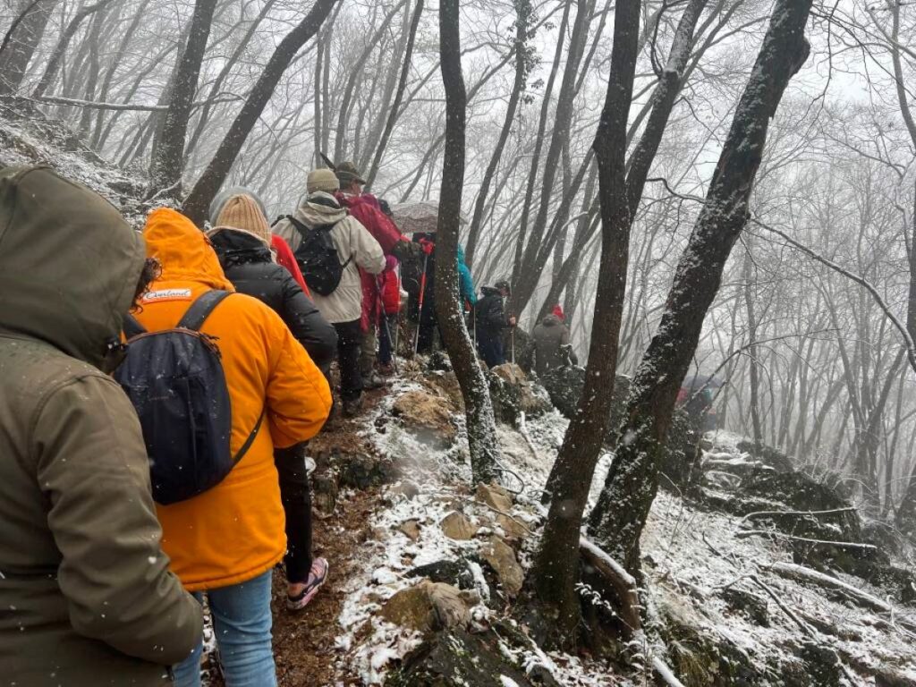 8.12.2023, in cammino il giorno dell