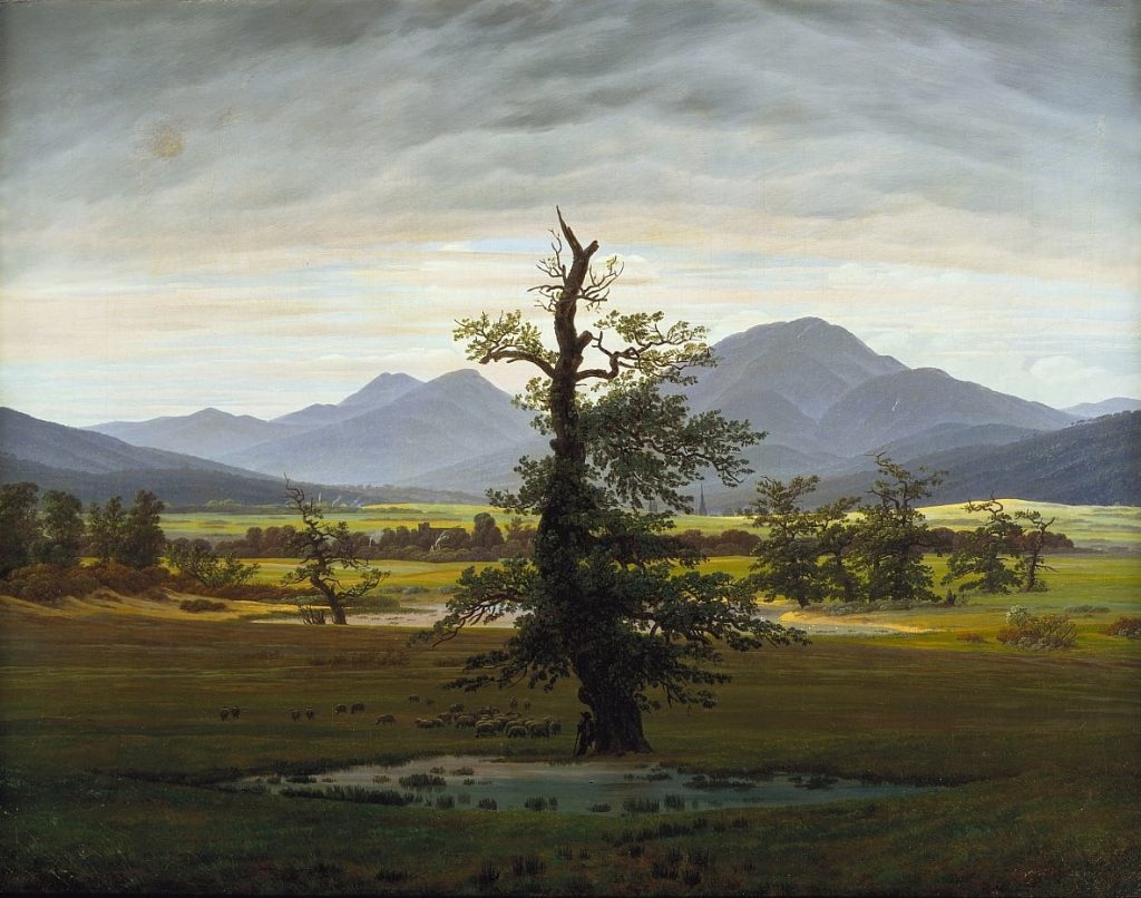 Der einsame Baum (L