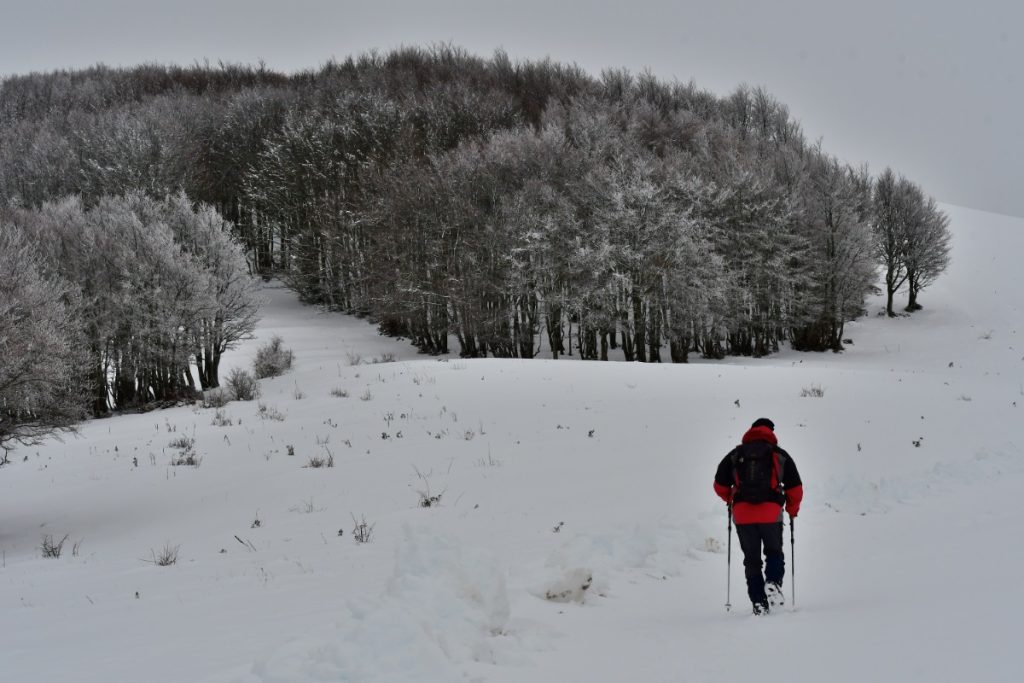 Escursionista verso i Pantani, foto SA