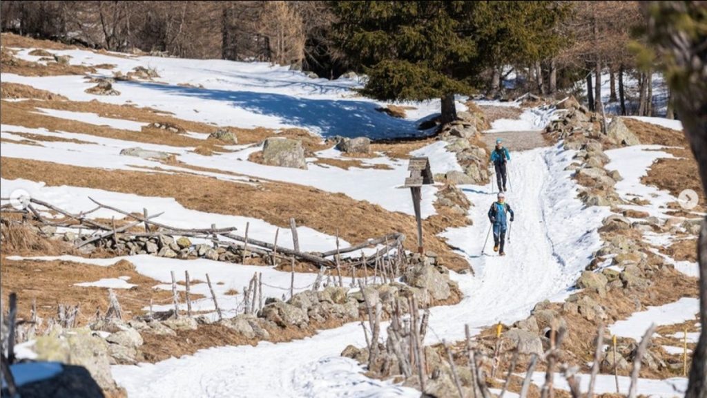 Foto Andrea Zampatti