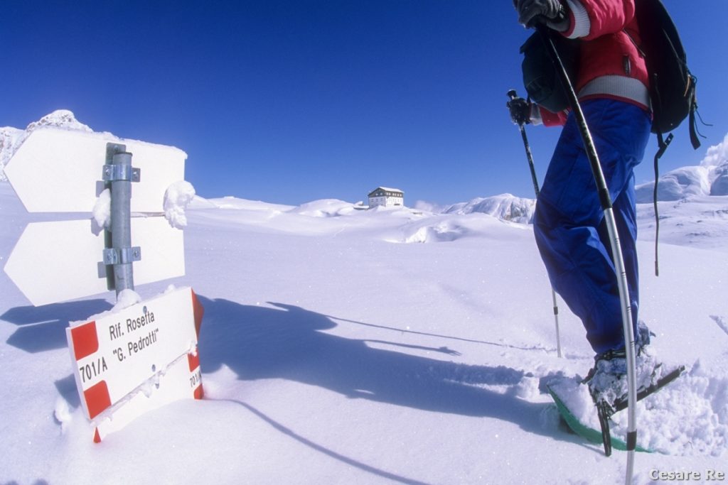 I carlelli semisepolti dalla neve. Foto Cesare Re