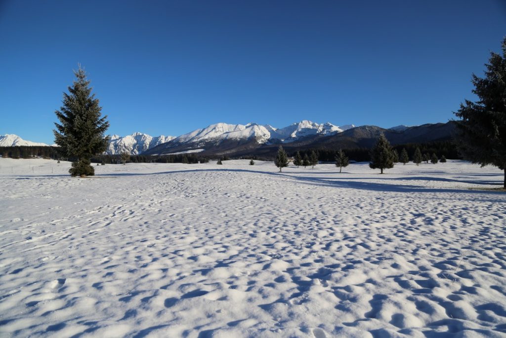 Il regno del silenzio. Foto AdobeStock