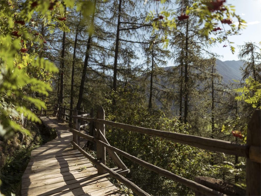 La Roggia Oberwaal, presso Malles Foto P. Schwienbacher