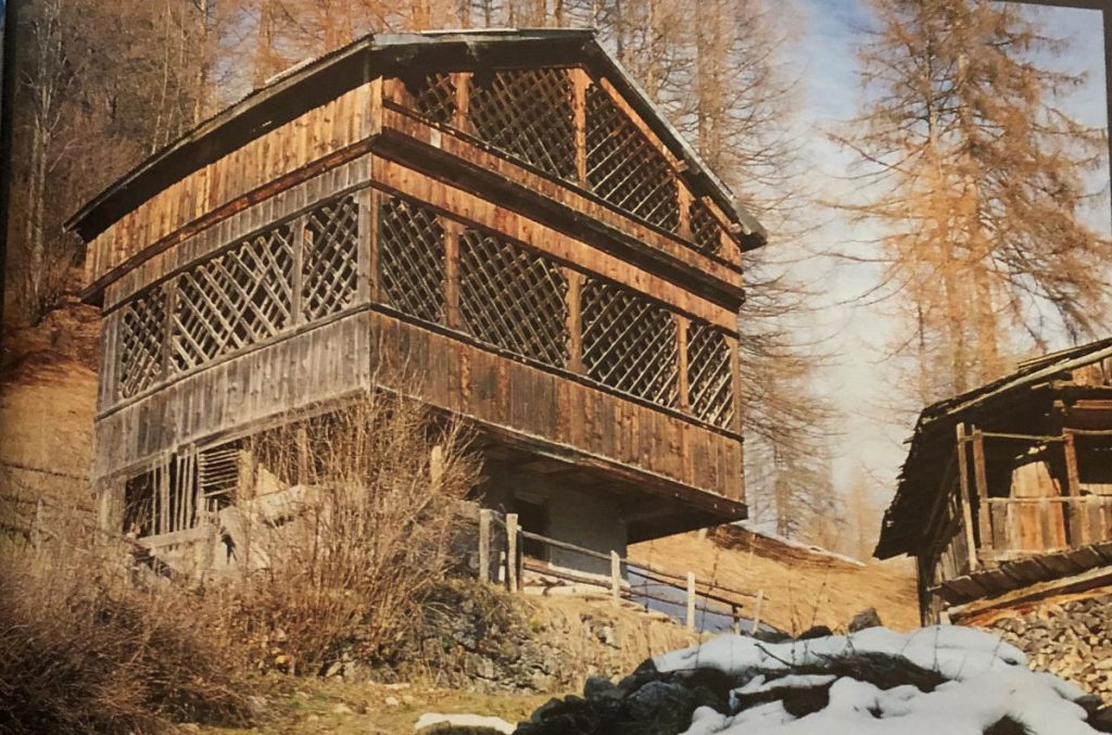 Un tabià della Valle di Zoldo. Foto dal libro “ Architettura rurale nelle Dolomiti venete” ( Edizioni Dolomiti Cortina)