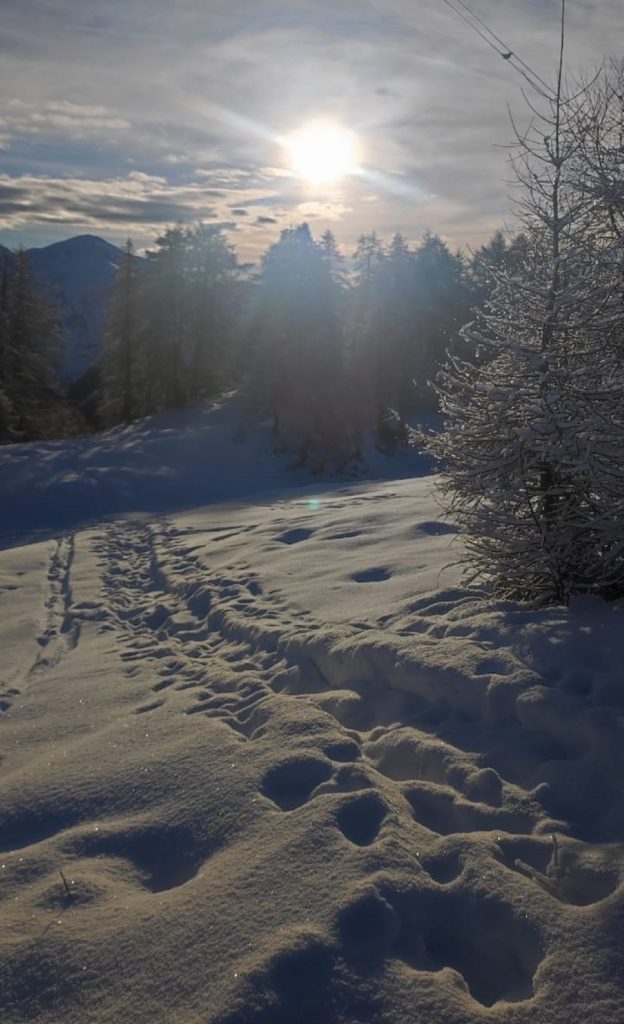 Pian delle Betulle. Foto Manuela Maggioni