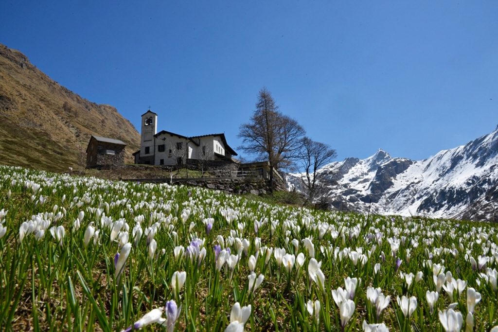 Primavera allla Madonna della neve , in Val Biandino. Foto Rifugio Terravecchia