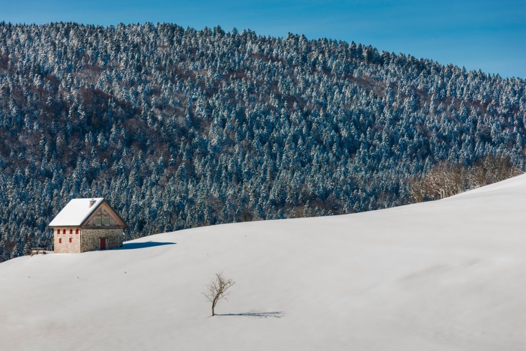 Un mondo antico e rilassante. Foto AdobeStock