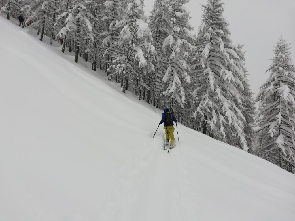Verso il Pian delle Betulle. Foto Smaranda Chifu