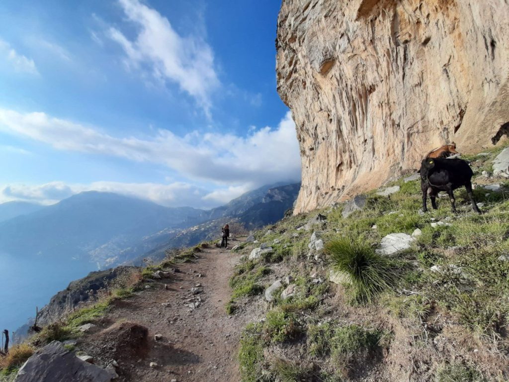 Uno dei tratti esposti del Sentiero degli Dei. Foto Barbara Falace