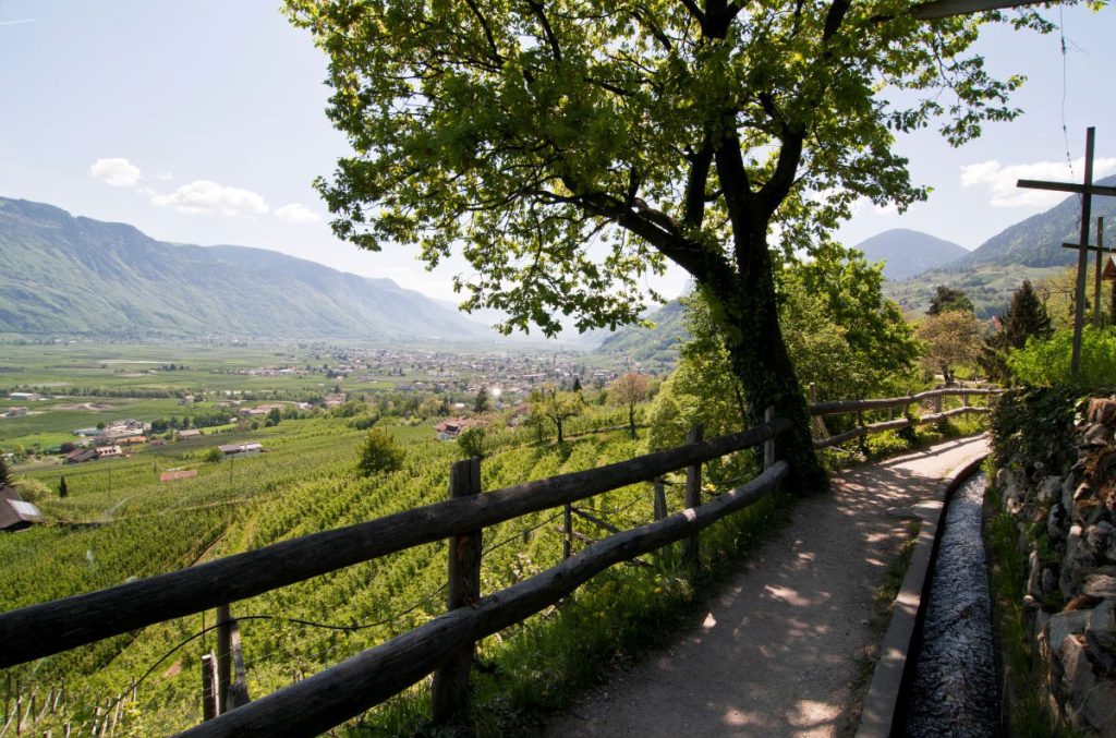 Belle e facili escursioni panoramiche lungo le antiche rogge @ IDM Südtirol-Alto Adige, Alex Filz