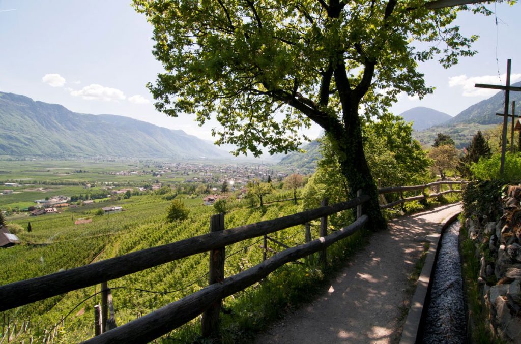 Belle e facili escursioni panoramiche lungo le antiche rogge @ IDM Südtirol-Alto Adige, Alex Filz