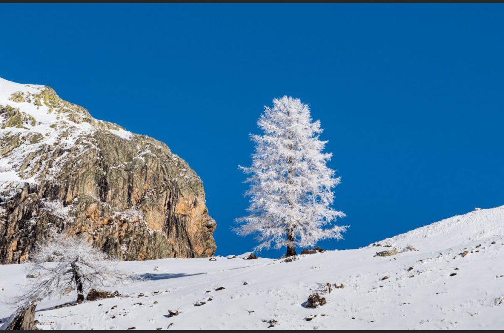 Ai piedi della Rocca Provenzale. Foto Giacomo Meneghello, Clickalps