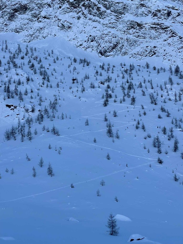 Quale direzione. Foto Michele Comi