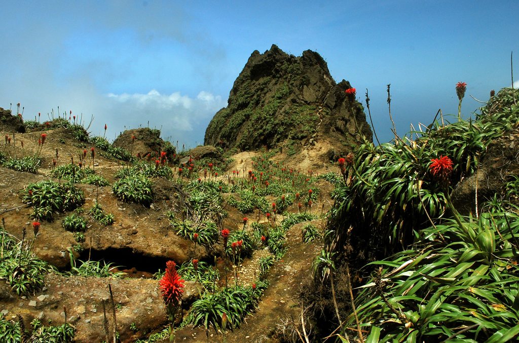 La Soufrière, il Piton Dolomieu, Foto Adobestock