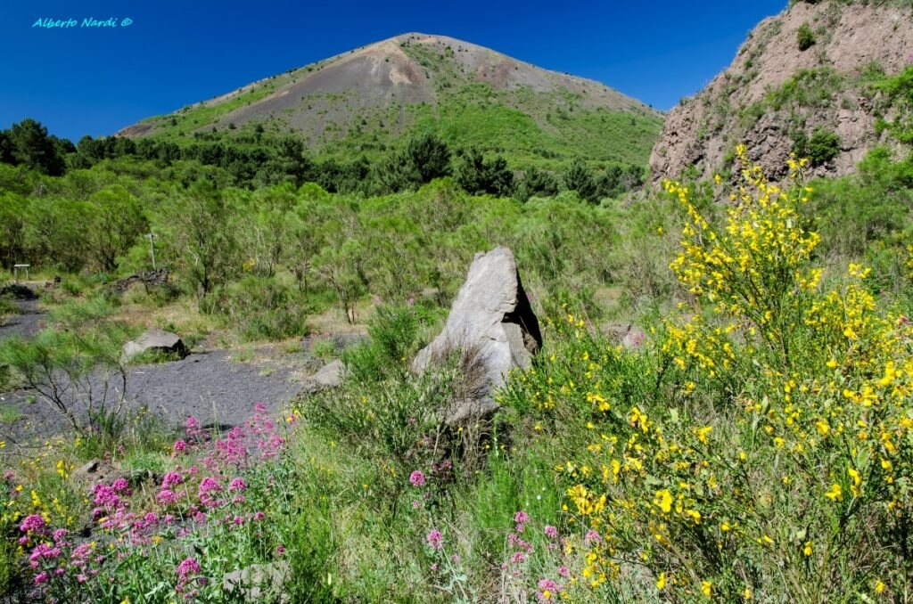 Fioriture ai piedi del cratere. Foto Alberto Nardi