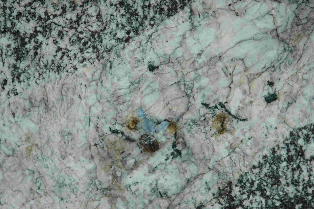 Gemme compaiono sotto le punte degli sci Ph Luca Fontana