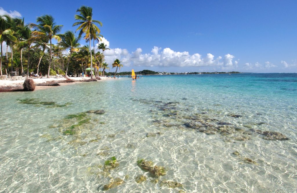 Guadalupa, la spiaggia della Caravelle. Foto Stefano Ardito