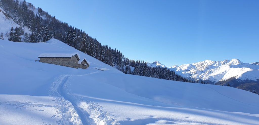 I pendii di Spiazzi di Gromo subito dopo una nevicata. Foto Pietro Raviotta