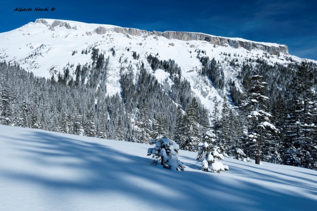 Il piatto culmine dell