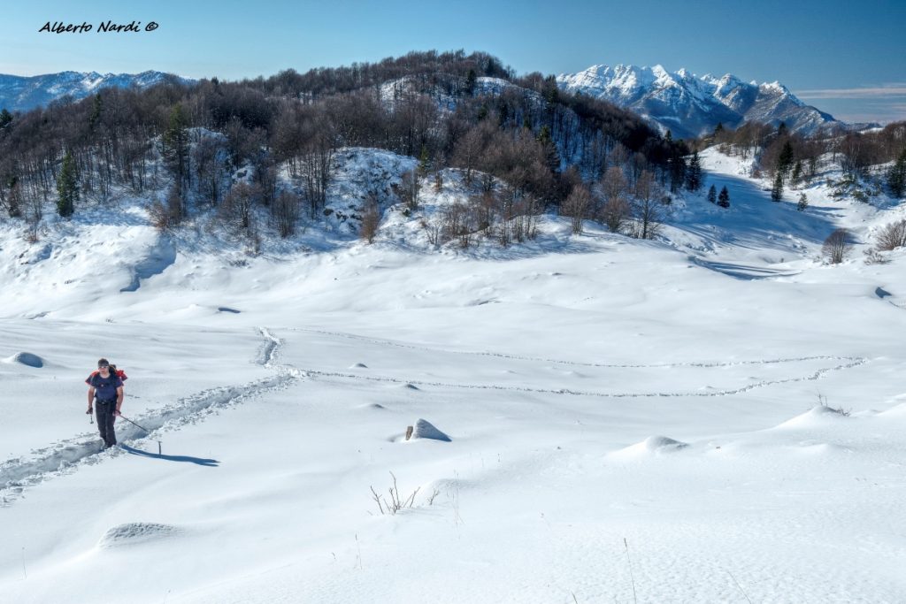 In salita, ormai in campo aperto. Foto Alberto Nardi