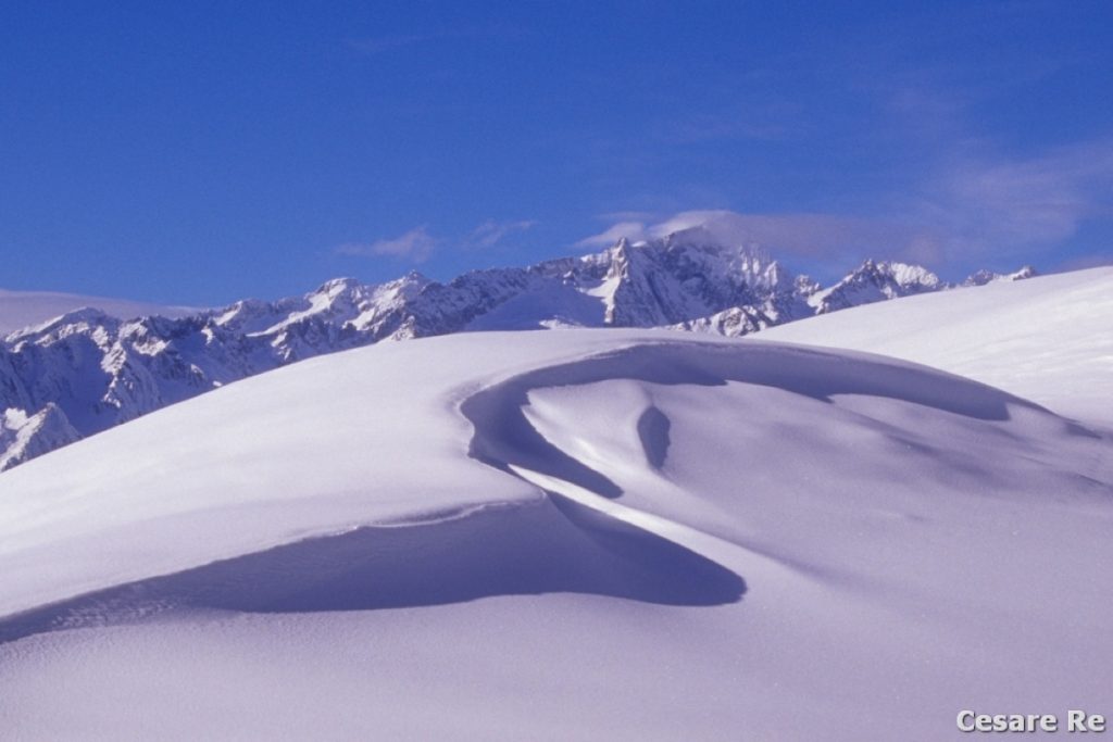 La Presanella. Foto Cesare Re