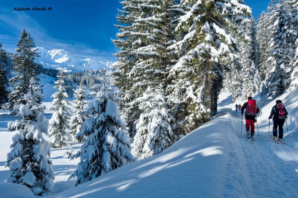 La comoda pista che risale la Schwarzwassertal. Foto Alberto Nardi