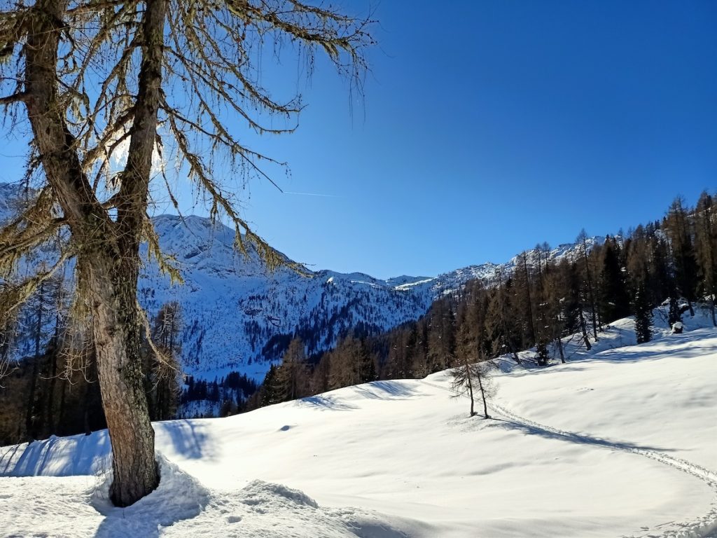 La cresta verso il M. Clap Savon @Omar Gubileia