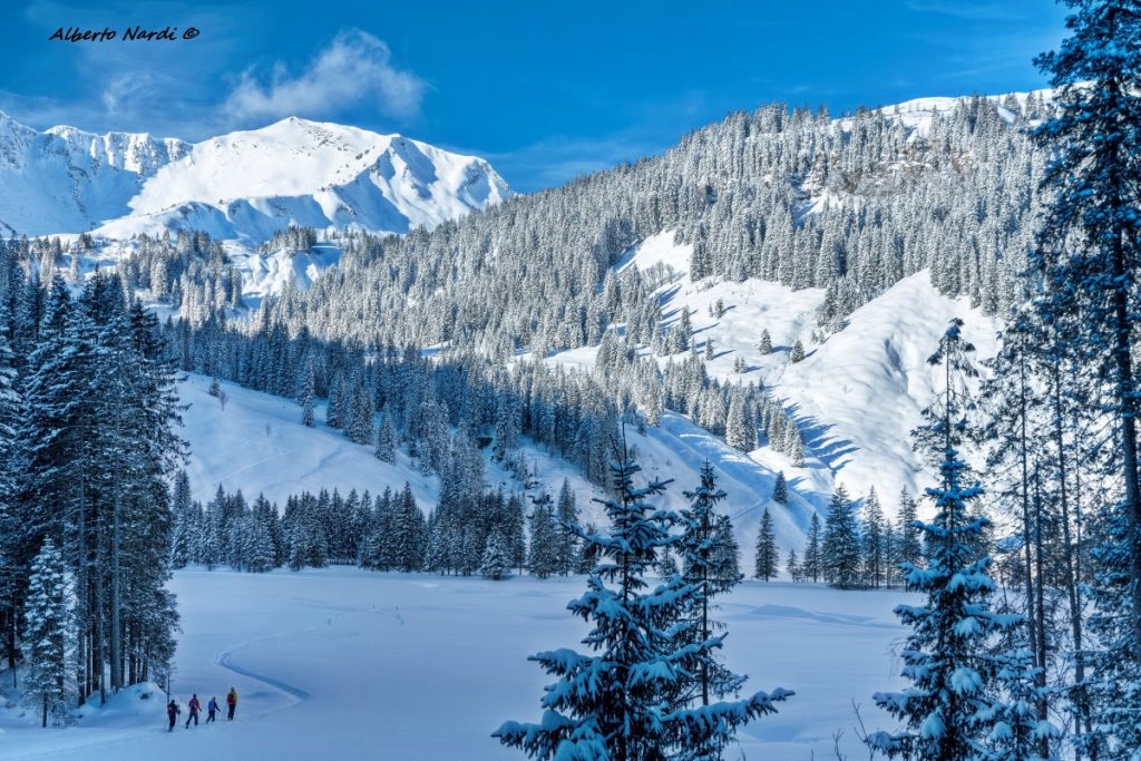 La parte iniziale dell