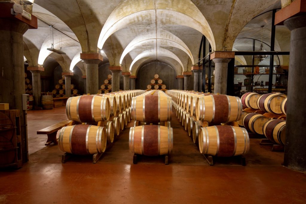 Losone, cantina Vini e Distillati Delea Angelo. Foto Stefano Torrione