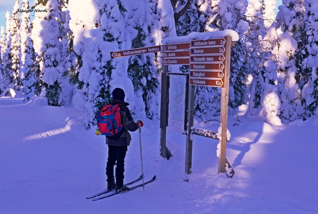 Lungo la pista da sci di fondo che porta sulla cima del monte Valtavaaran. Foto Alberto Nardi