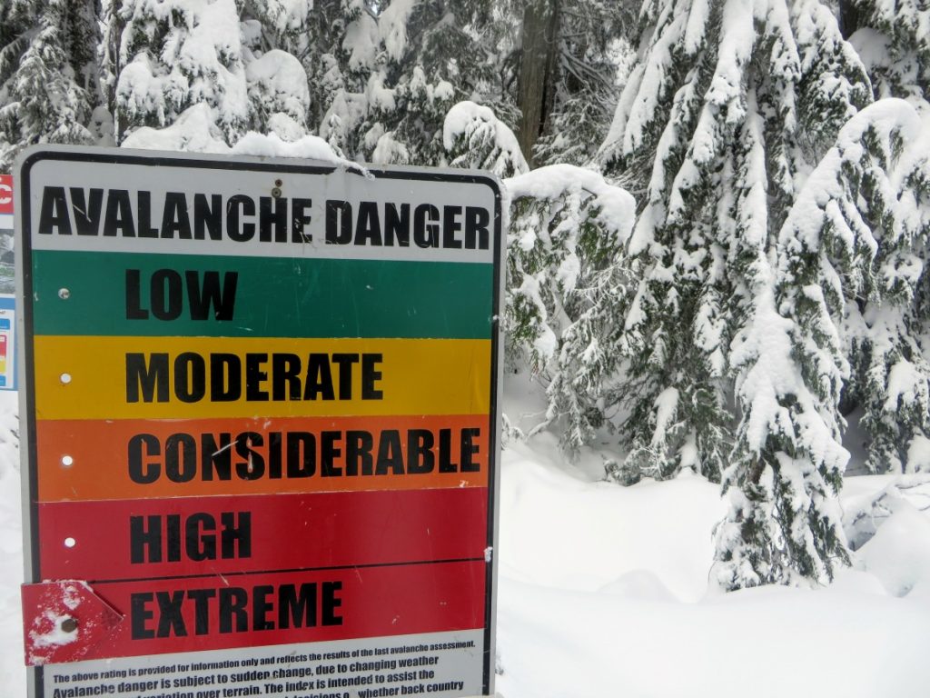 Meglio non far finta di niente. Foto AdobeStock