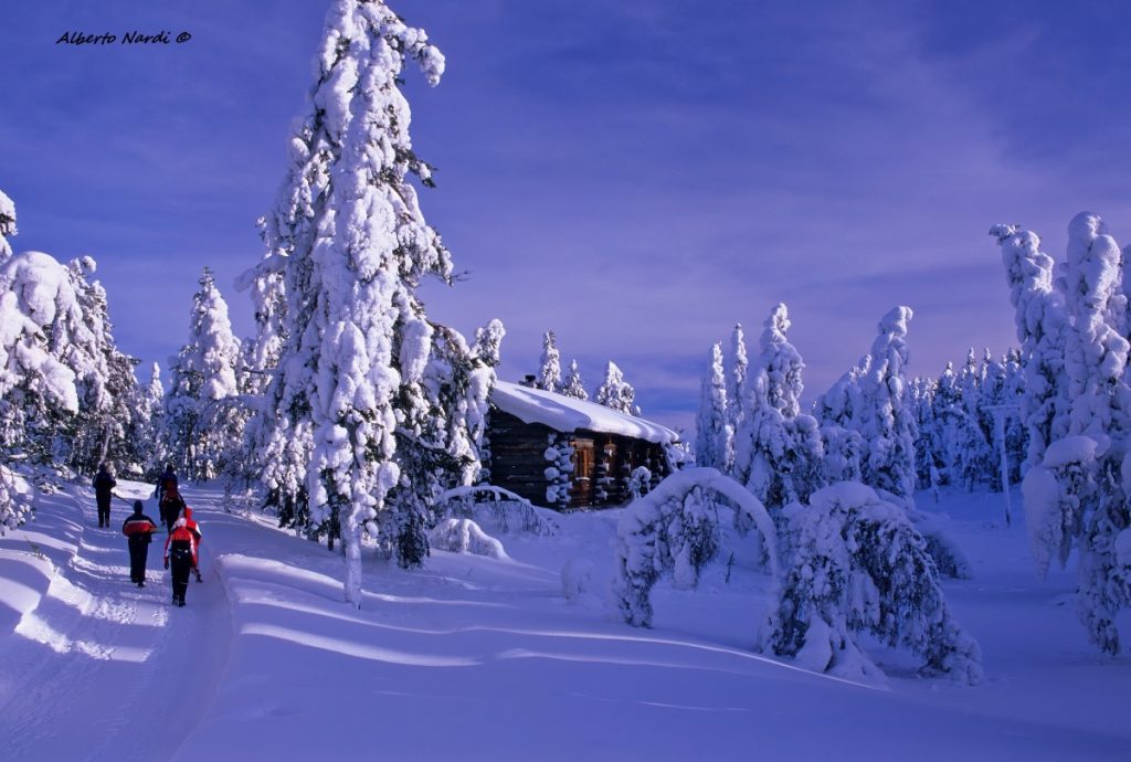 Nella Riserva naturale di Valtavaara, nei pressi di Ruka. Foto Alberto Nardi