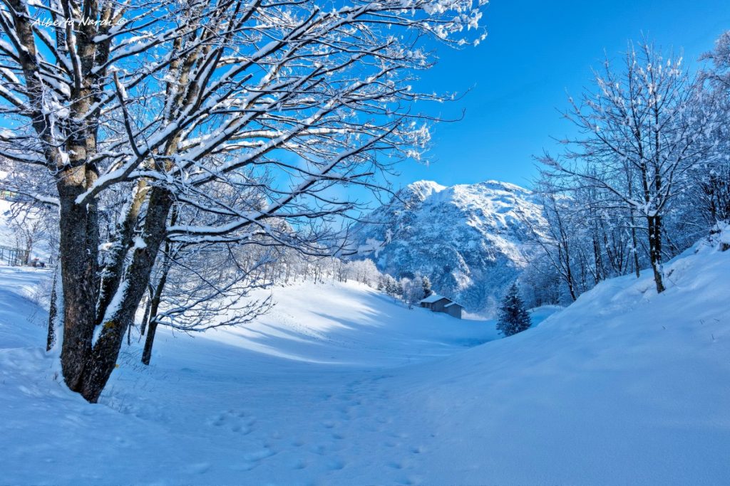 Presso la frazione di Quindicina, punto di partenza dell