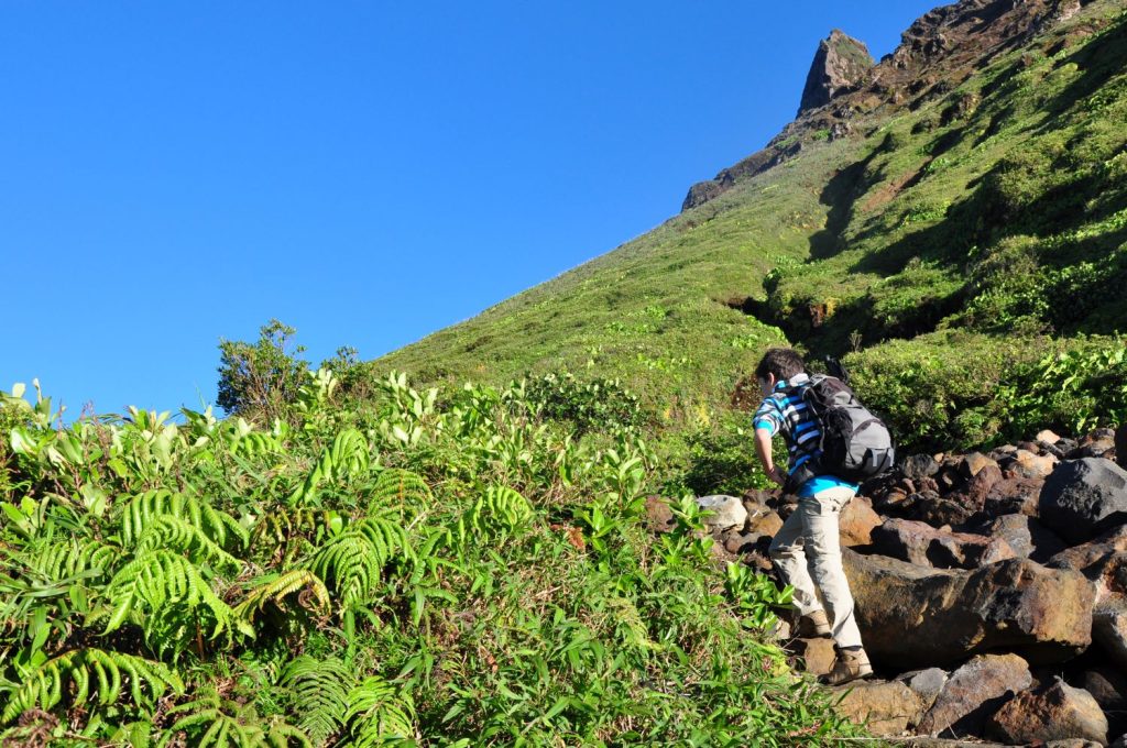 Salendo a La Soufrière. Foto Stefano Ardito