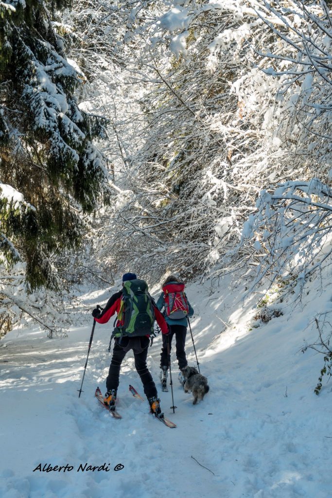 Spesso è preferibile utilizzare gli sci. Foto Alberto Nardi