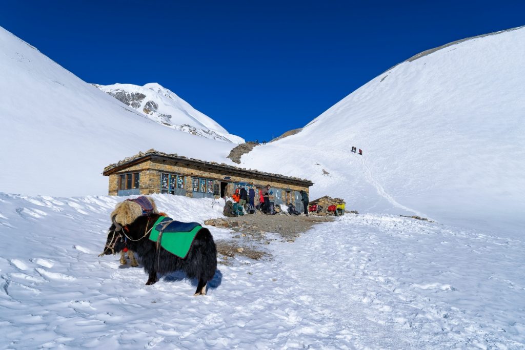 Una Tea house poco prima del Thorong-La Pass. Foto AdobeStock