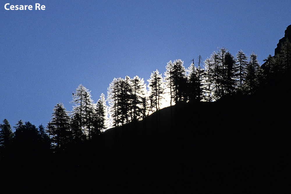 Il sole spunta dal crinale di alberi, all'Alpe Devero. In questo caso non è evidente il sole, con i suoi raggi. Gli alberi sono stati resi in silhouette, tecnica fotografica della quale ho parlato precedentemente in “Fotografare la Silhouette”. 