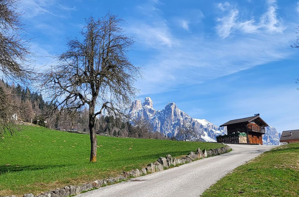 La Via della Frutta Antica in Primiero: facile escursione tra emozionanti alberi storici