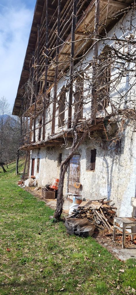 Al Maso Fontana. Foto Stefano Gaio