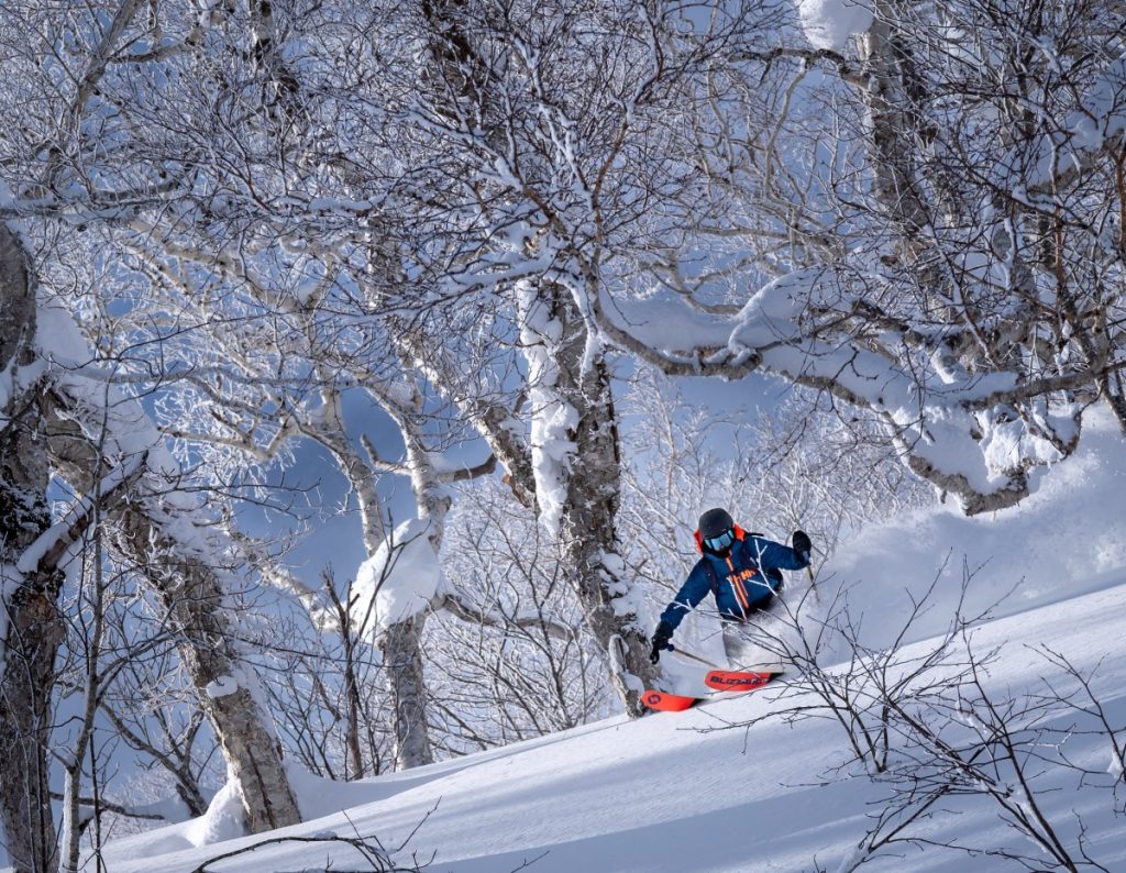 Alesi nella powder giapponese
