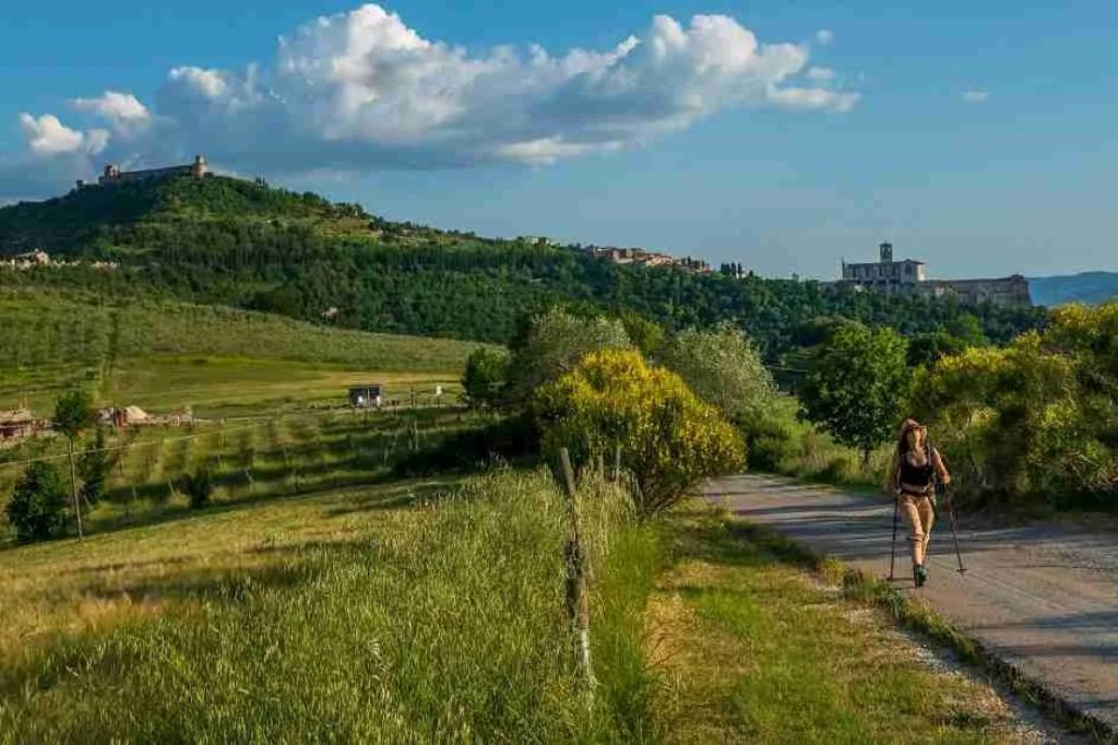 Anche i cammini dell