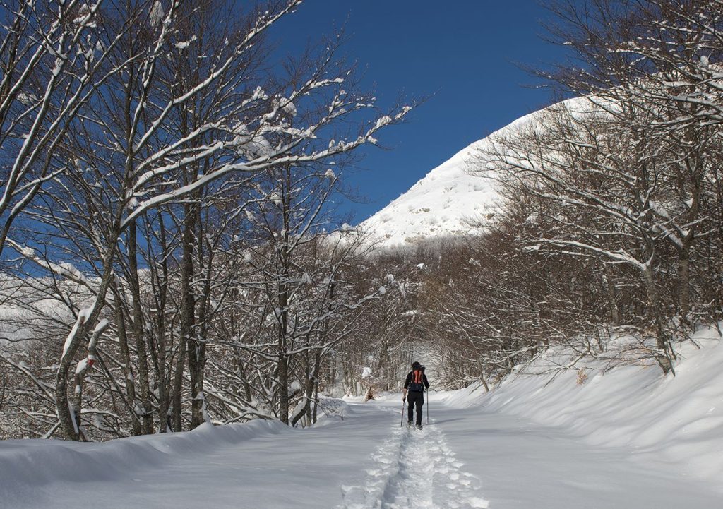 Anche in caso di recenti nevcate la traccia è sempre visibile. Foto Roberto Carnevali