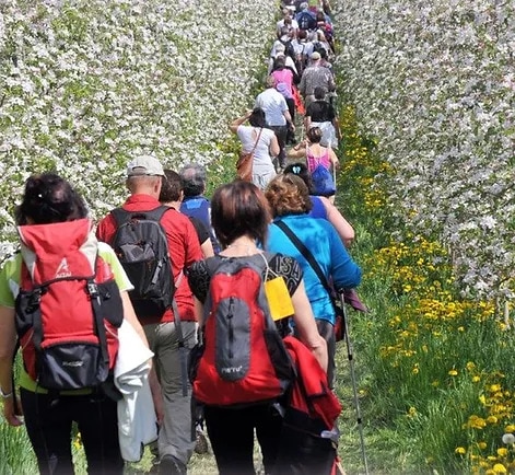 Escursione tra i campi durante Aprile dolce fiorire