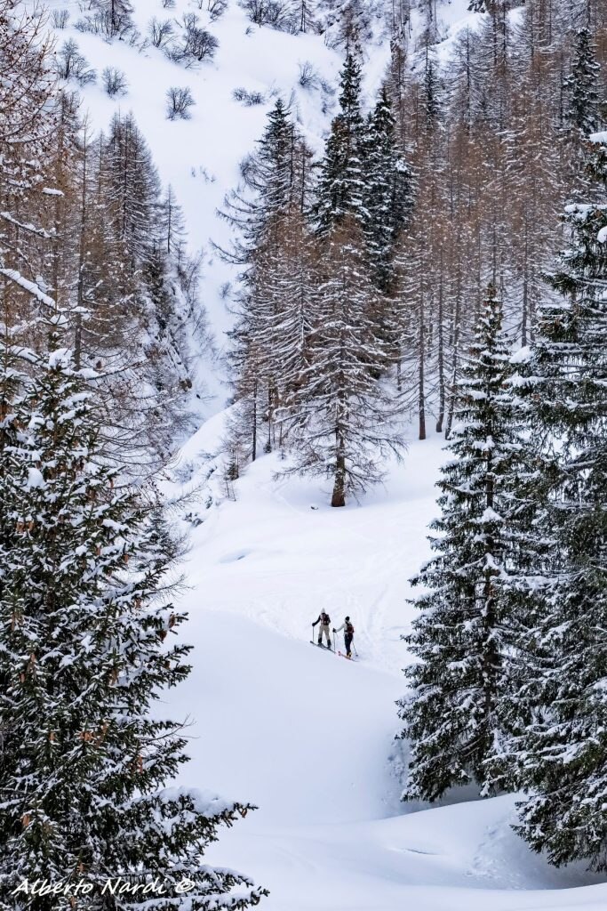 Foto di Alberto Nardi