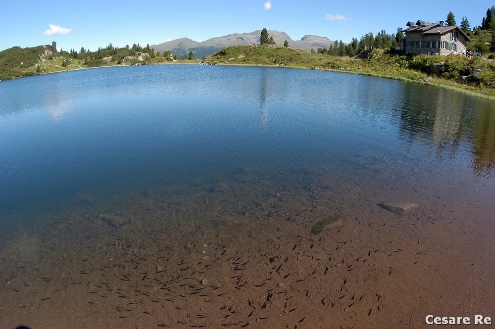 Eccolo! Il famigerato “effetto mondo”. Ancora il Lago di Colbricon, ripreso con il Fish Eye inclinato verso il basso. 