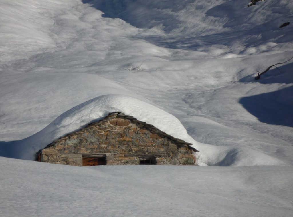 Grange Nollo, salendo al Monte Tibert. Foto Lorenzo Volpe
